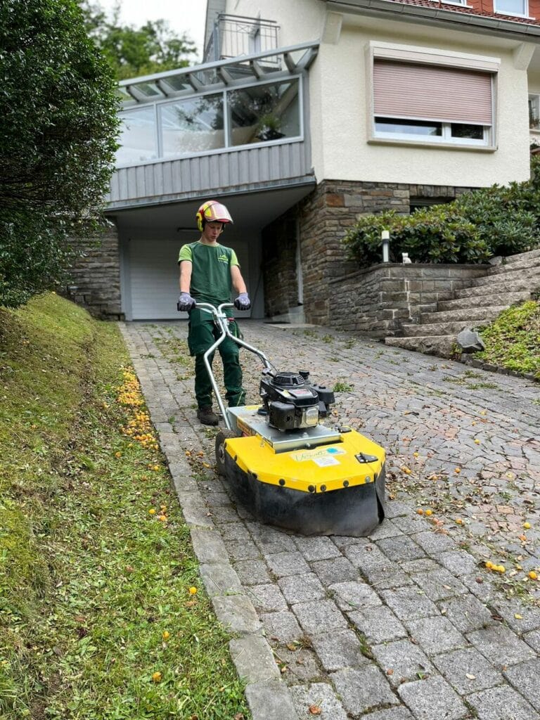 Unkraut entfernen
